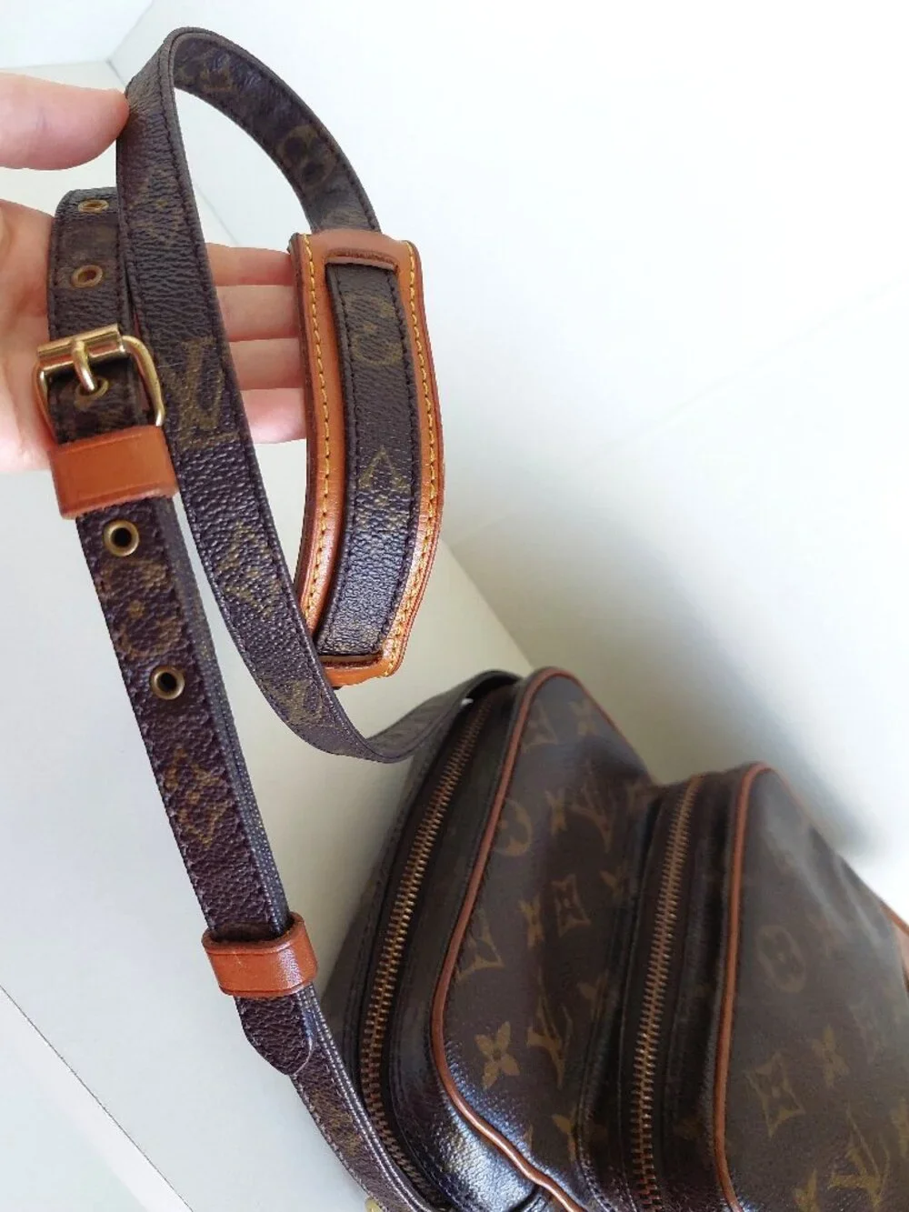 Louis Vuitton Amazon PM Monogram Canvas Crossbody Bag